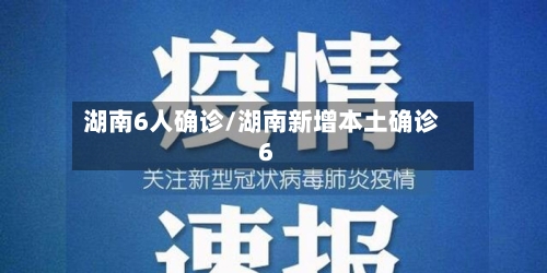 湖南6人确诊/湖南新增本土确诊6-第2张图片