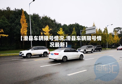 【滑县车辆限号情况,滑县车辆限号情况最新】-第2张图片