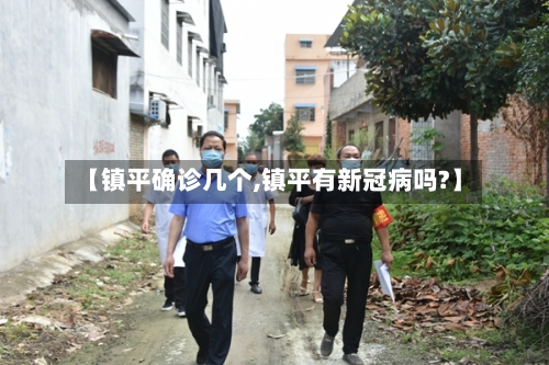 【镇平确诊几个,镇平有新冠病吗?】-第2张图片