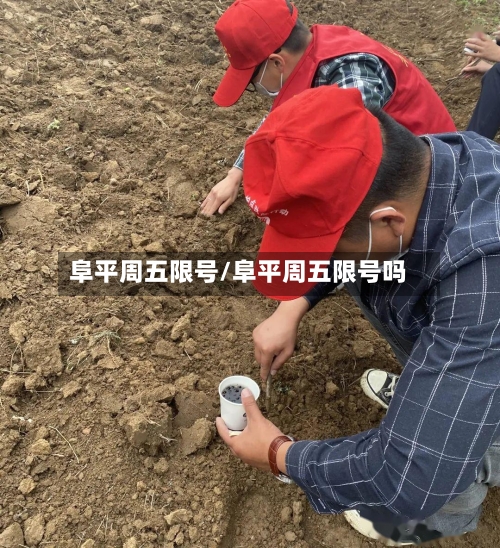 阜平周五限号/阜平周五限号吗