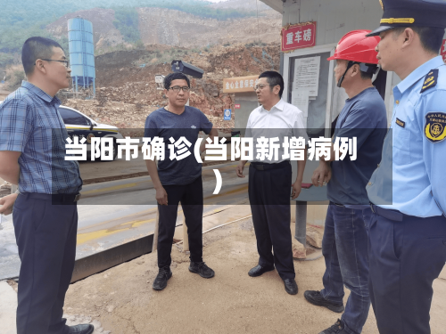 当阳市确诊(当阳新增病例)-第2张图片