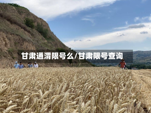 甘肃通渭限号么/甘肃限号查询-第2张图片