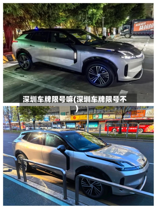 深圳车牌限号嘛(深圳车牌限号不)-第2张图片