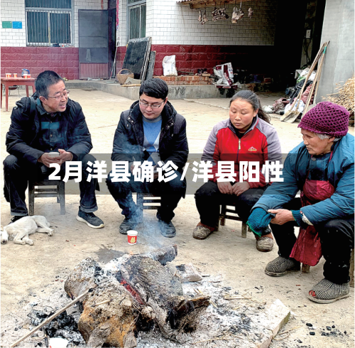 2月洋县确诊/洋县阳性