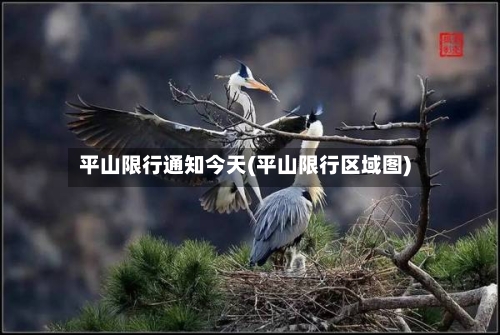 平山限行通知今天(平山限行区域图)