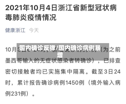 国内确诊反弹/国内确诊病例暴增