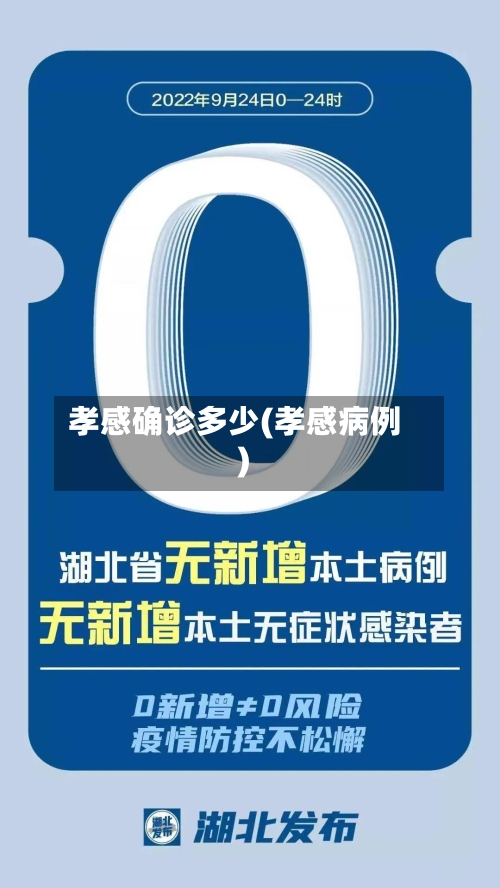 孝感确诊多少(孝感病例)-第2张图片