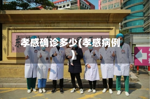孝感确诊多少(孝感病例)-第3张图片