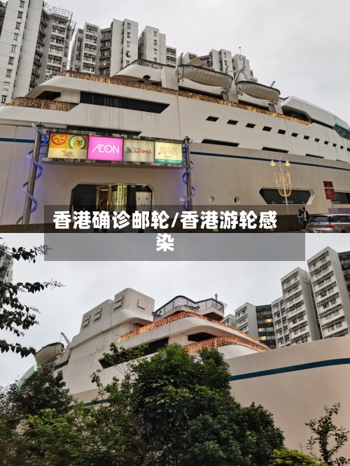 香港确诊邮轮/香港游轮感染-第2张图片
