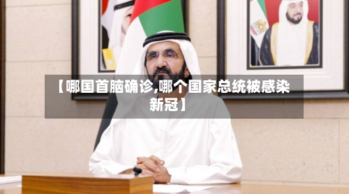 【哪国首脑确诊,哪个国家总统被感染新冠】-第2张图片
