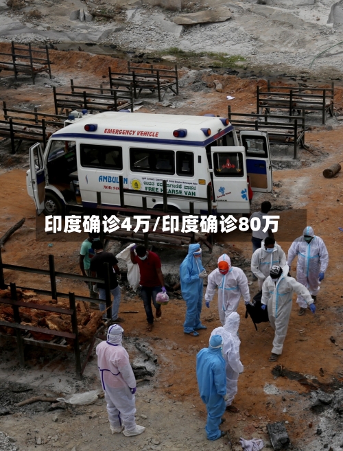 印度确诊4万/印度确诊80万