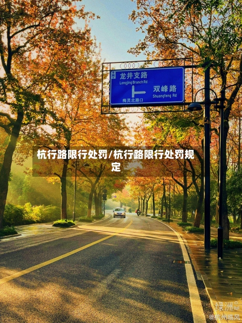 杭行路限行处罚/杭行路限行处罚规定-第2张图片