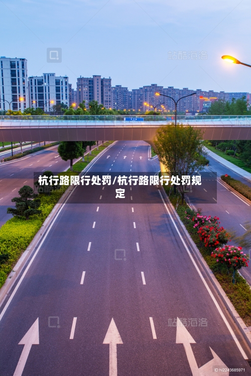 杭行路限行处罚/杭行路限行处罚规定-第3张图片