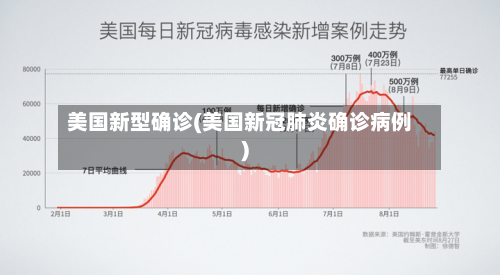 美国新型确诊(美国新冠肺炎确诊病例)-第2张图片