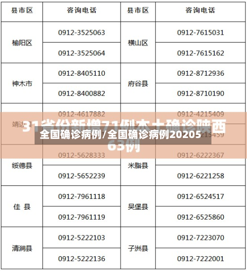 全国确诊病例/全国确诊病例20205