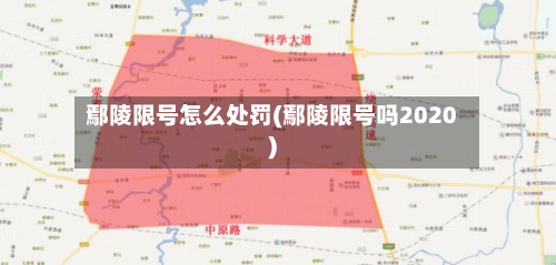 鄢陵限号怎么处罚(鄢陵限号吗2020)-第2张图片