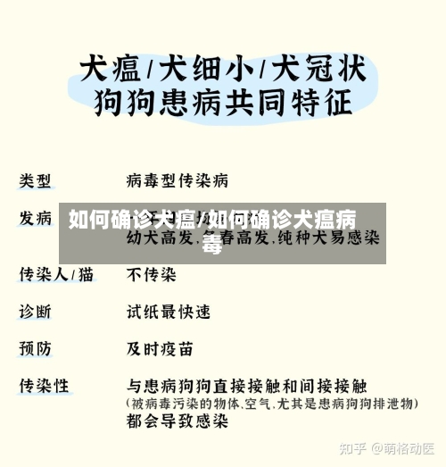 如何确诊犬瘟/如何确诊犬瘟病毒-第2张图片