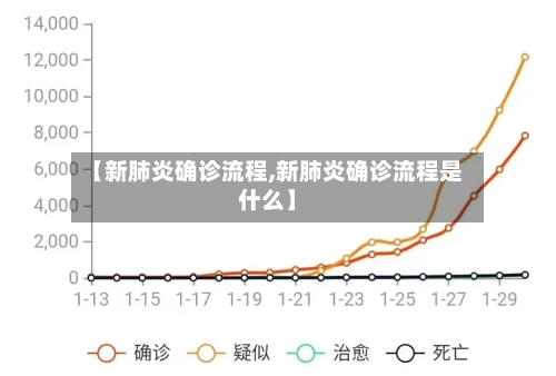 【新肺炎确诊流程,新肺炎确诊流程是什么】
