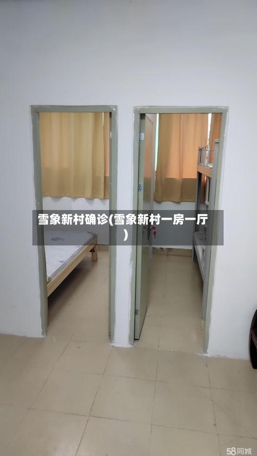 雪象新村确诊(雪象新村一房一厅)-第2张图片