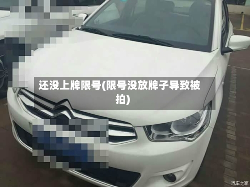 还没上牌限号(限号没放牌子导致被拍)