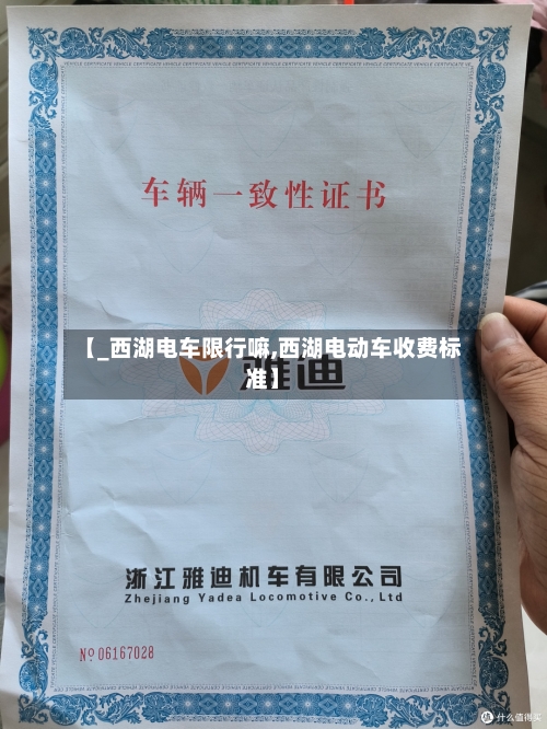 【_西湖电车限行嘛,西湖电动车收费标准】-第3张图片