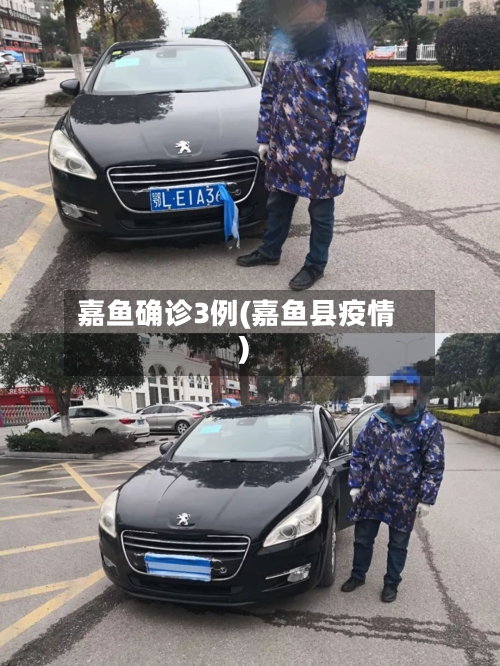 嘉鱼确诊3例(嘉鱼县疫情)-第2张图片