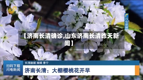 【济南长清确诊,山东济南长清昨天新闻】-第2张图片
