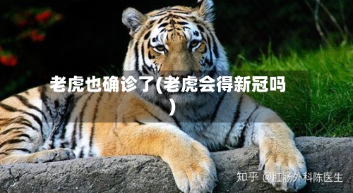 老虎也确诊了(老虎会得新冠吗)