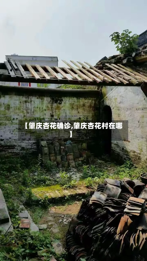 【肇庆杏花确诊,肇庆杏花村在哪】-第2张图片