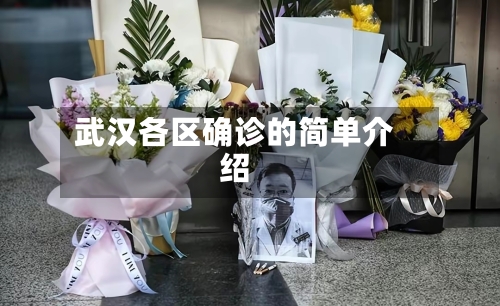武汉各区确诊的简单介绍