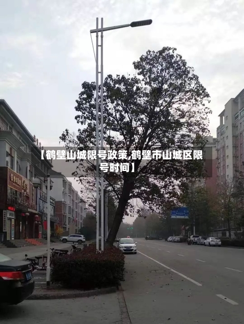 【鹤壁山城限号政策,鹤壁市山城区限号时间】