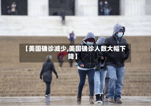 【美国确诊减少,美国确诊人数大幅下降】-第2张图片