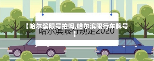 【哈尔滨限号拍吗,哈尔滨限行车牌号】-第2张图片