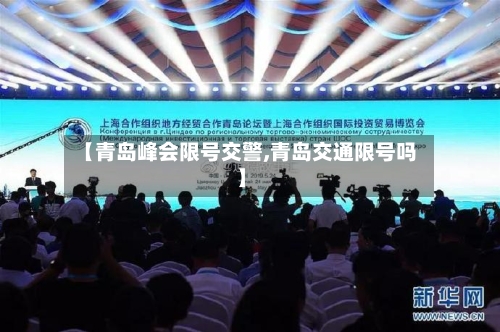 【青岛峰会限号交警,青岛交通限号吗】-第3张图片