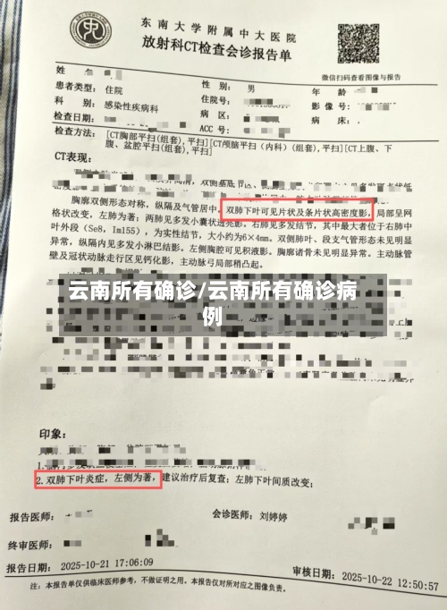 云南所有确诊/云南所有确诊病例