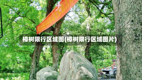 樟树限行区域图(樟树限行区域图片)-第3张图片