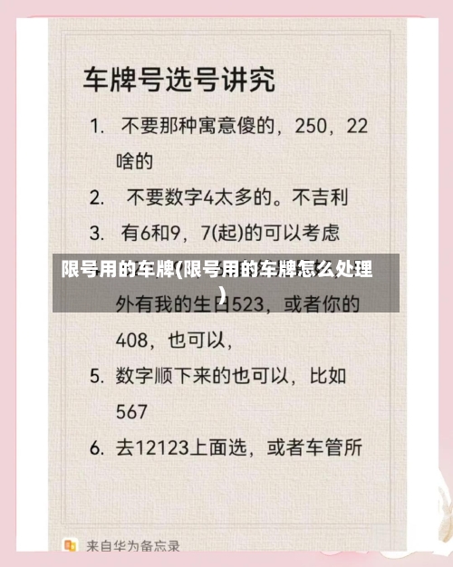 限号用的车牌(限号用的车牌怎么处理)-第2张图片