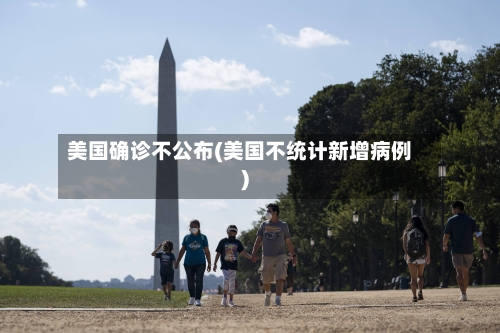 美国确诊不公布(美国不统计新增病例)-第3张图片
