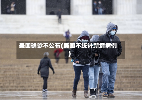 美国确诊不公布(美国不统计新增病例)-第2张图片