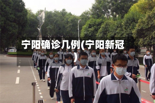 宁阳确诊几例(宁阳新冠)