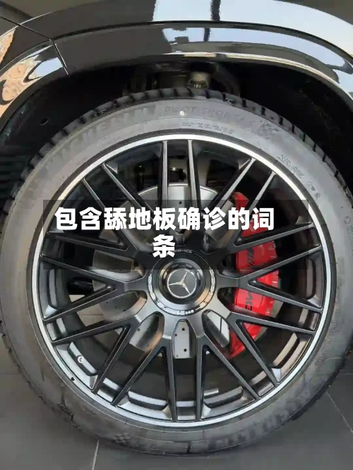 包含舔地板确诊的词条