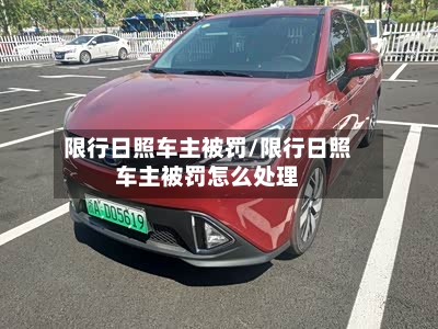 限行日照车主被罚/限行日照车主被罚怎么处理-第3张图片