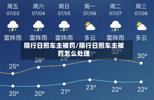 限行日照车主被罚/限行日照车主被罚怎么处理-第2张图片