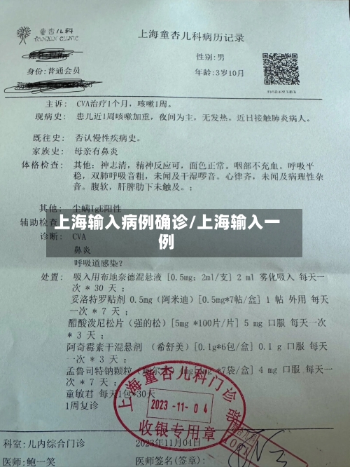 上海输入病例确诊/上海输入一例