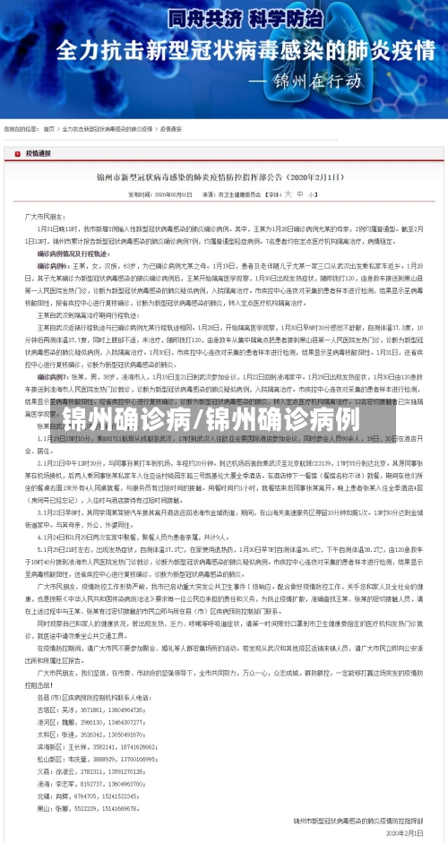 锦州确诊病/锦州确诊病例