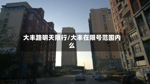 大丰路明天限行/大丰在限号范围内么-第2张图片
