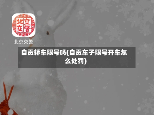 自贡轿车限号吗(自贡车子限号开车怎么处罚)-第2张图片