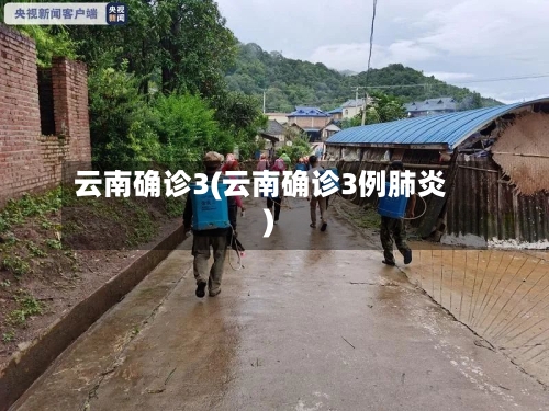 云南确诊3(云南确诊3例肺炎)-第3张图片
