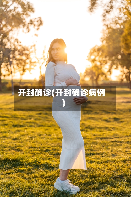 开封确诊(开封确诊病例)-第3张图片