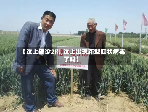 【汶上确诊2例,汶上出现新型冠状病毒了吗】-第2张图片